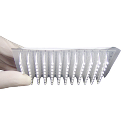 PCR KITS AND REAGENTS