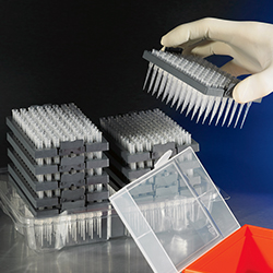 PIPETTE TIPS