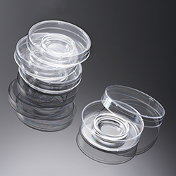CELL CULTURE DISHES