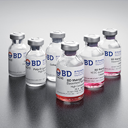 SURFACE TREATMENT & COATINGS