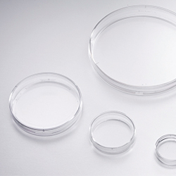 PETRI DISHES