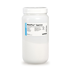 AGAROSE