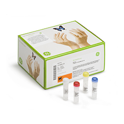 DNA AMPLIFICATION KITS