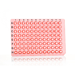 PCR PLATES