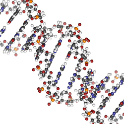 NUCLEIC ACID PURIFICATION