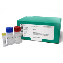 DNA AMPLIFICATION KITS