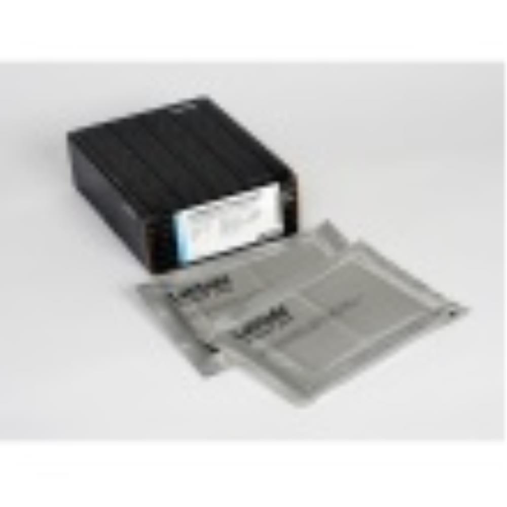 LZ56990 Image