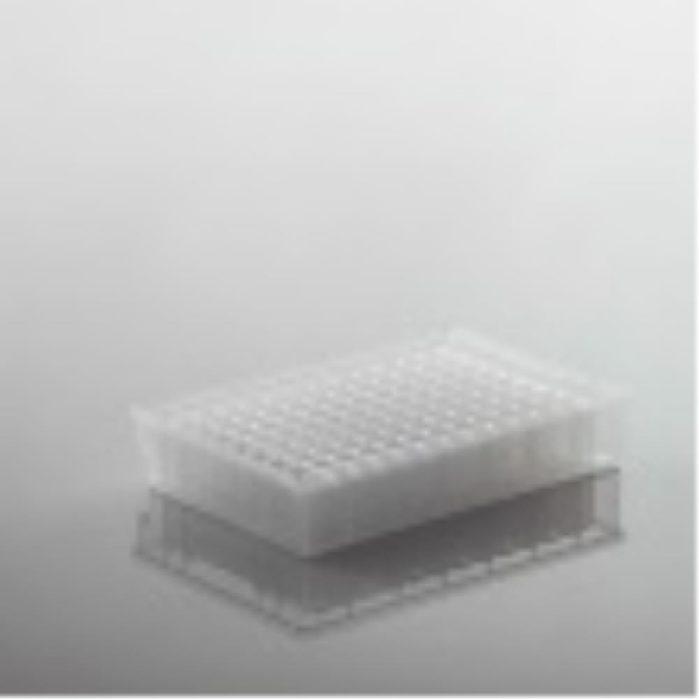 PCR0258 Image