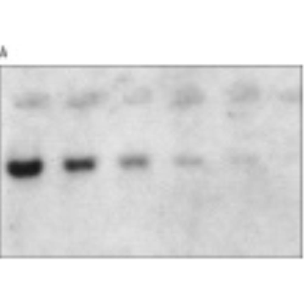 RPN2222B Image
