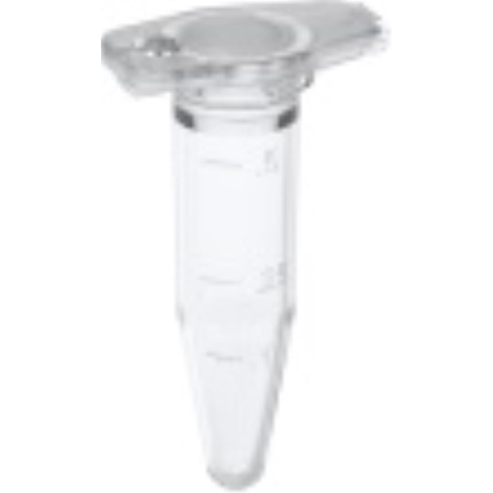 TUB1058 Image